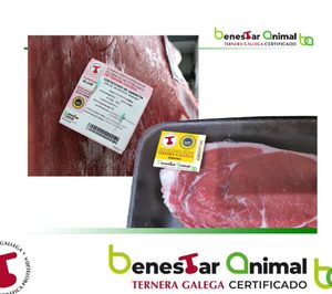 Nace la certificación de Bienestar Animal Ternera Gallega