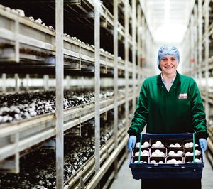 El residuo de champiñon, materia prima para bioplásticos