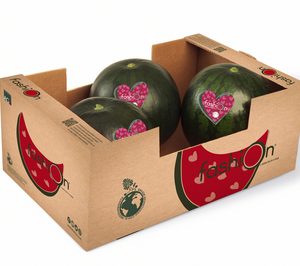 Grupo AGF lanza al mercado la versión más sostenible de su sandía ‘Fashion’