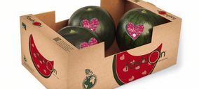 Grupo AGF lanza al mercado la versión más sostenible de su sandía ‘Fashion’