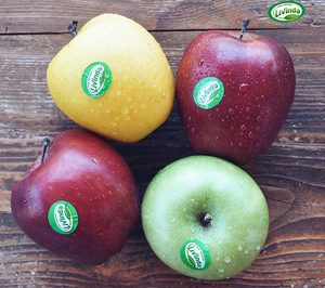 Grupo Nufri ya vende sus manzanas ‘Livinda’ online