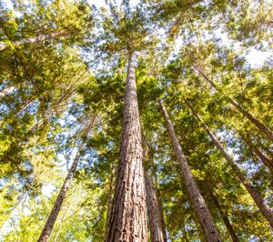 HP acelera sus objetivos de cero emisiones