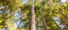 HP acelera sus objetivos de cero emisiones