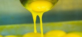 Procesamiento térmico de huevos mediante intercambiadores de calor tubulares