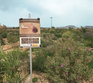 Surinver apuesta por técnicas de cultivo sostenibles, mientras amplía su catálogo