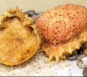 PCS mantiene el pulso inversor en su planta de Teruel