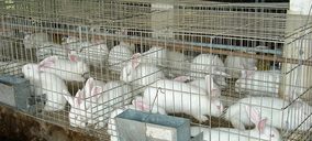 Alianza en el sector cunícola