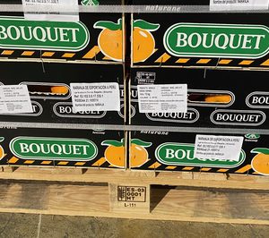 Anecoop abre vía comercial con Perú al enviar el primer contenedor de naranjas desde España