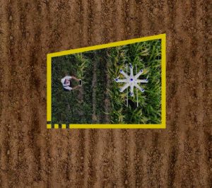 FIAB e EY crean el primer centro de digitalización del sector de alimentación y bebidas