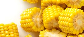 Ardo Benimodo levantará un nuevo almacén frigorífico en sus instalaciones