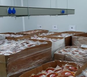 La Guardia Civil lleva a cabo dos operaciones contra el fraude de productos de cerdo ibérico