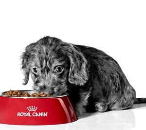 Royal Canin apuesta por sistemas de predicción de la demanda para mejorar su logística