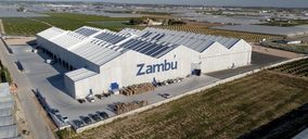 Zambú Higiene invierte en capacidad productiva y desarrollos sostenibles