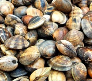 Océano Fresco capta 1 M para su proyecto de acuicultura