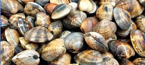 Océano Fresco capta 1 M para su proyecto de acuicultura