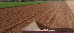 Interagro de Patatas prevé incrementar su volumen comercializado en 2021