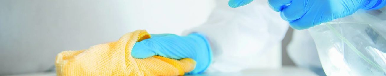 Informe 2021 del sector de Limpieza e Higiene Profesional