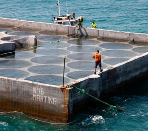 Rover Maritime coordina un proyecto de generación eólica