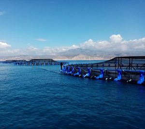 Avramar pone en marcha su granja marina en El Campello