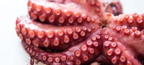 Discefa asiste al desplome de sus ventas y ejemplifica la dificultad del negocio del pulpo