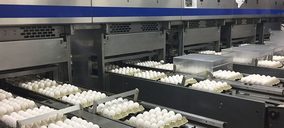 El mercado de huevos mantiene la inversión, pese a los menores márgenes