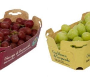 Alcampo incorpora packaging más sostenible para el envasado de uva