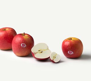 El volumen de ventas de Pink Lady en España crece un 18% en la última campaña