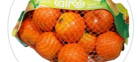 Grupo Giró vuelve a presupuestar inversiones millonarias