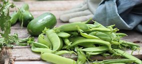 Helm Ibérica apuesta por las proteínas vegetales en alimentación