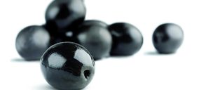 Las exportaciones de aceituna negra a EEUU todavía no han tocado suelo