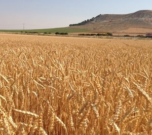 Nestlé se compromete con la agricultura regenerativa