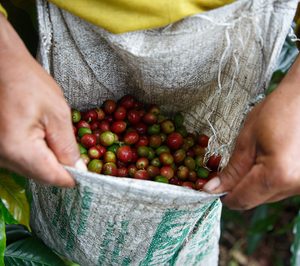 El café de comercio justo duplica sus ventas en el último lustro