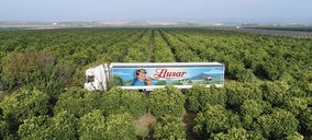 Antonio Llusar y Naranjas Torres se unen para formar un grupo especializado en cítricos prémium