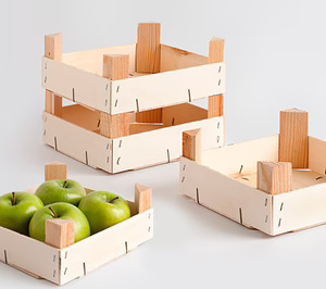 Envases Ureña se recupera del incendio sufrido este pasado verano