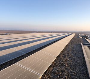 González Byass invierte en diez parques solares en sus bodegas de España y México