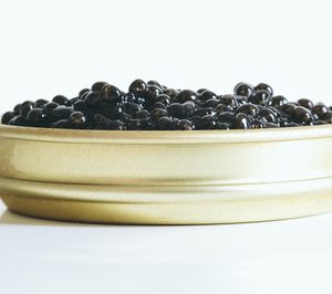 Frutapac asume la distribución de ‘Caviar Nacarii’