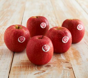 Pink Lady prevé una cosecha de calidad, con volúmenes ligeramente inferiores