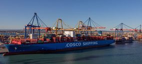 El nivel de precios de los fletes y nuevos servicios volverán a impulsar a Cosco Shipping Lines Spain