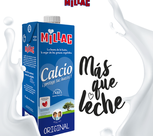 JSP plantea una fuerte reestructuración antes de su inevitable venta