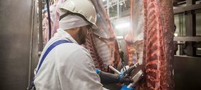 Grupo Medina prepara 4 M de inversión para el próximo año