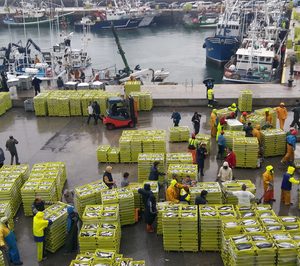 Ifco Systems suma varios contratos para su nuevo pool de cajas de pescado