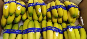 Cultivar invierte en medidas de sostenibilidad