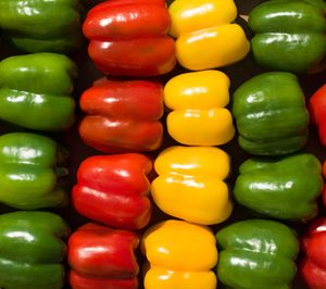 Surinver espera que la mitad de su producción sea ecológica en 2022