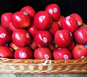 Fruilar amplía capacidad, suma equipos y apuesta por la sostenibilidad