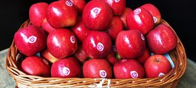 Fruilar amplía capacidad, suma equipos y apuesta por la sostenibilidad