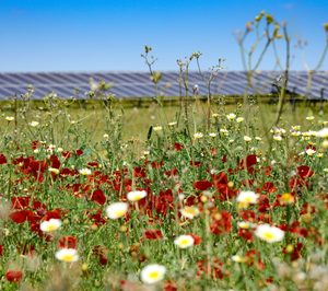 Huhtamaki y BayWa firman un acuerdo de suministro de energía solar