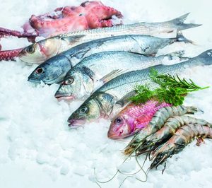 La pandemia lleva a un relevante mayorista de pescado de Cádiz a la liquidación