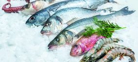 La pandemia lleva a un relevante mayorista de pescado de Cádiz a la liquidación