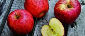 Informe 2022 del sector de manzana