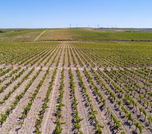 CAAE amplía su acreditación para certificar bajo el Nuevo Reglamento 848 de producción ecológica